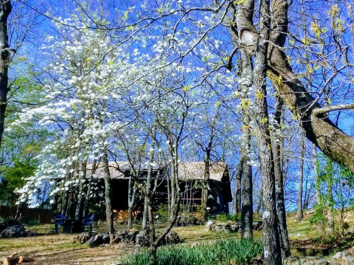Cherokee Mountain Log Cabins Eureka Springs Exterior foto